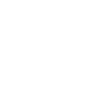 fleet icon 01