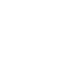 steering icon 01