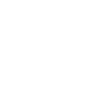 suspension icon 01
